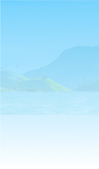 Le Minerale